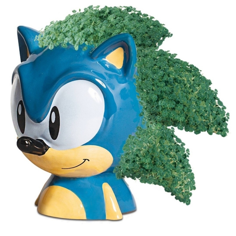 Sonic the Hedgehog Chia Pet Decorative Planter Grow Plant